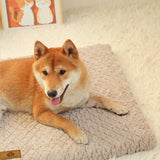 Cama Confortável e Acolhedora para Cães e Gatos  O espaço perfeito para o seu pet descansar com mais conforto todos os dias