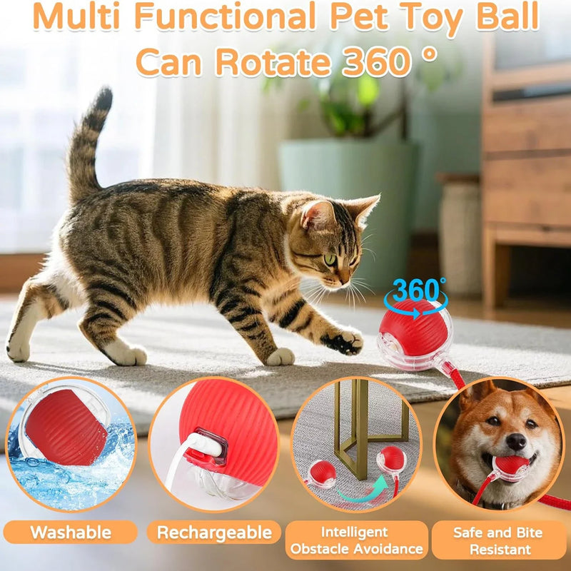 Bola Interativa Inteligente para Gatos — Diversão, Movimento e Luzes LED
